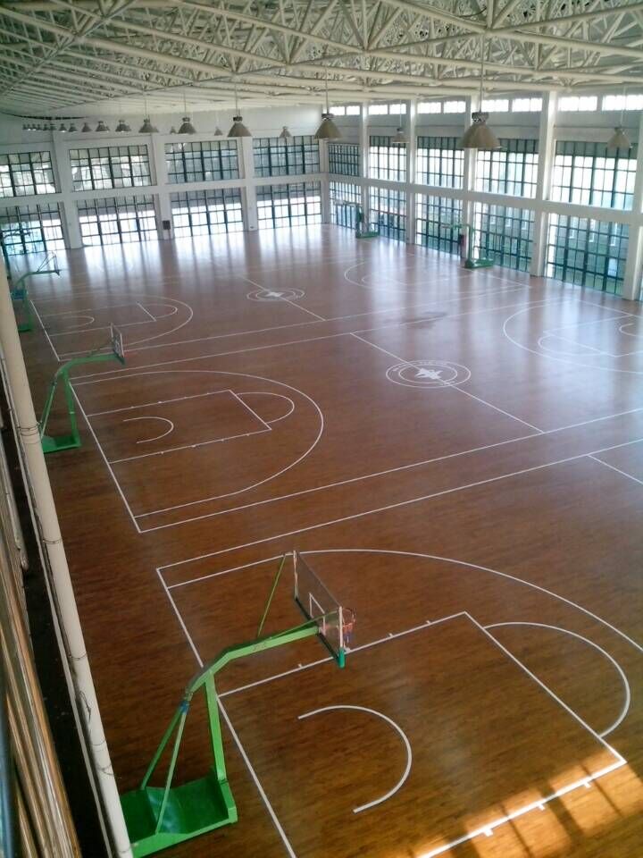 籃球館木地板
