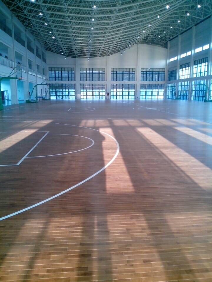 楓木運動地板