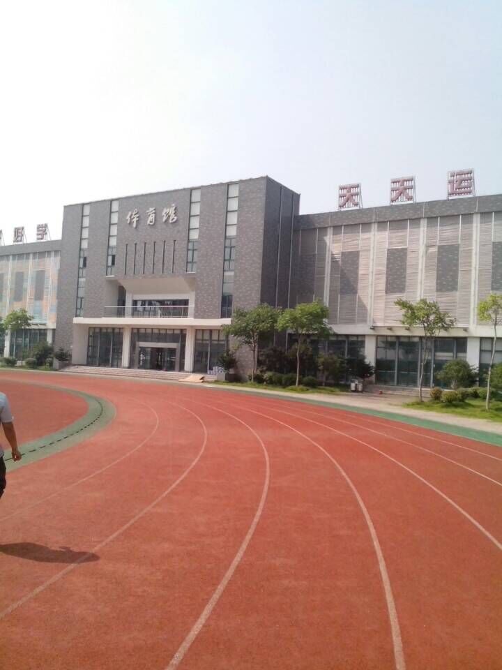 體育館木地板